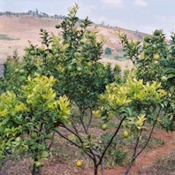 burundi algemeen 7 op 7