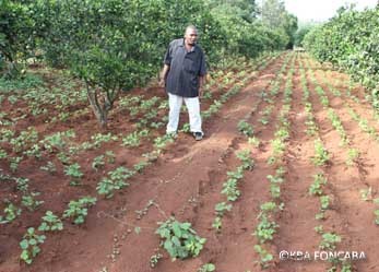 Au Centre Agakura Nov 2013
