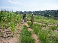 vrouwen land kananga3